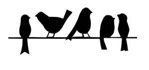 5 Birds on a Wire Decal Sticker  vehicle, boat, motorhome, camper van