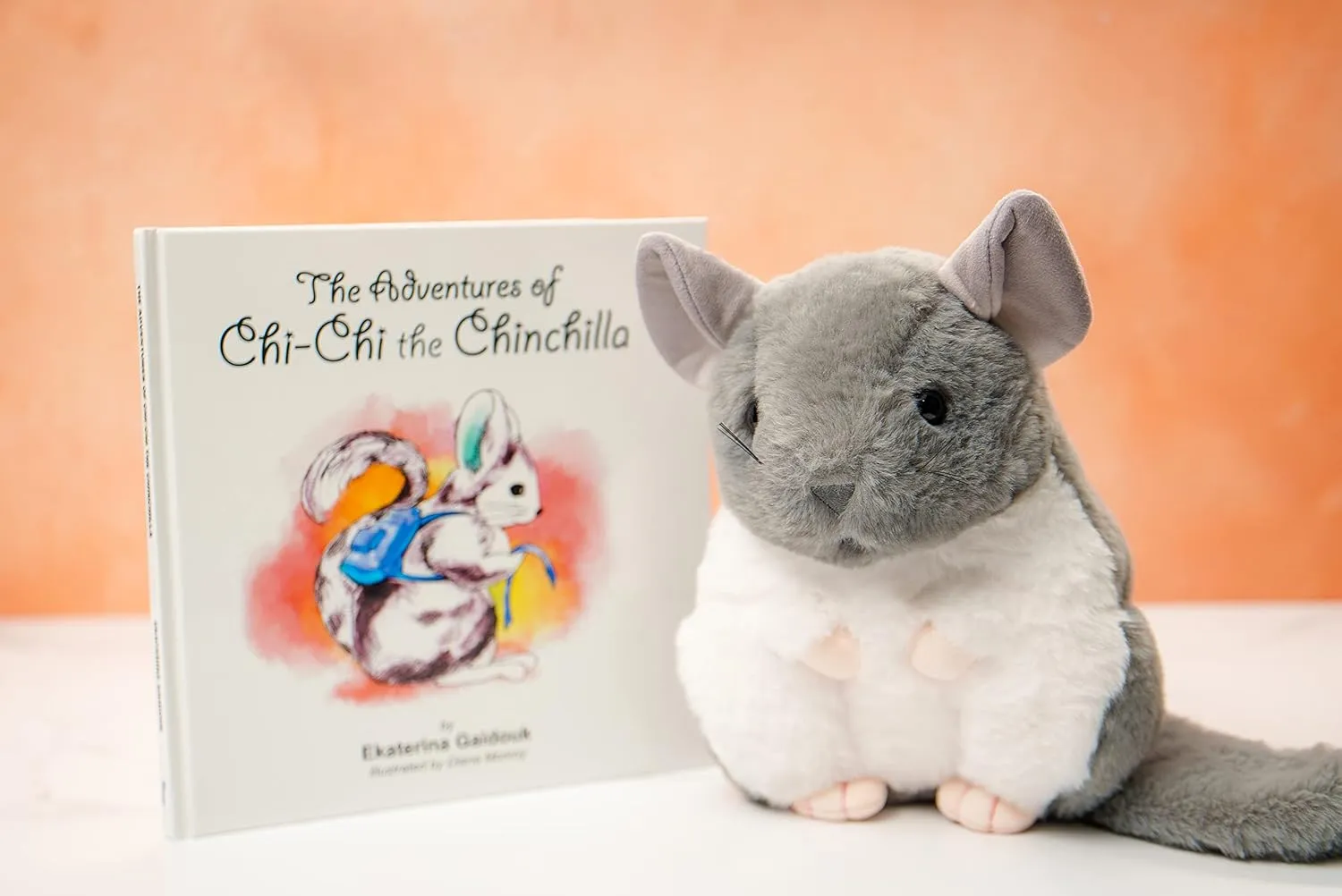 abort bridge topsoil god magma archaeology Animal, 9 Inches, for Kids Chi-Chi The Chinchilla - Exclusive Soft Grey Plush Stuffed 