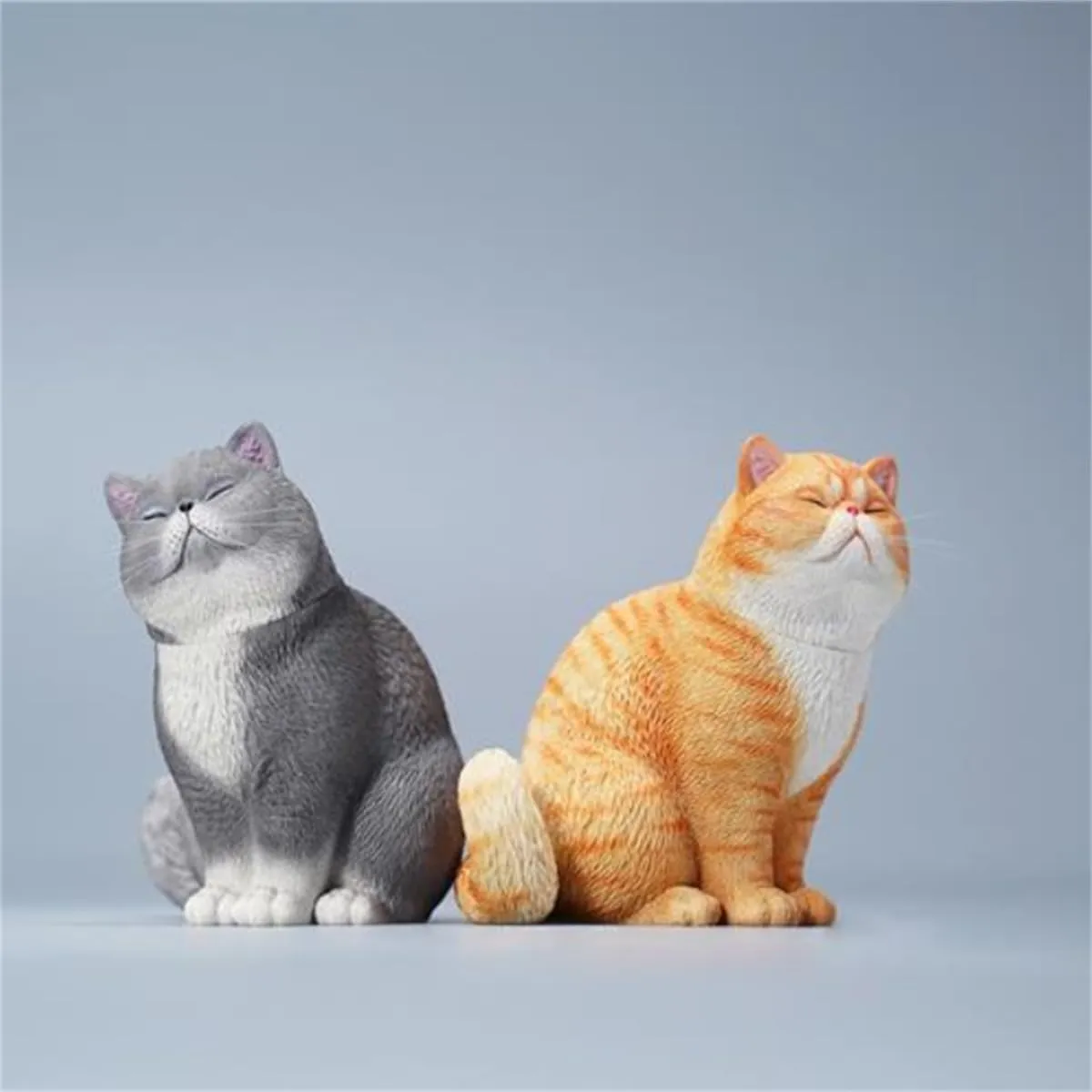 Adult (113C) 1:6 Scale Change Head Exoticshorthair Cat Model Felidae Resin Animal dimensional removal credit aggravate tongue Figure Pet Decor Gift for 
