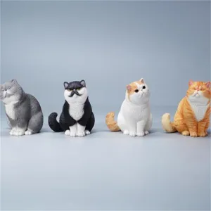Adult (113C) 1:6 Scale Change Head Exoticshorthair Cat Model Felidae Resin Animal dimensional removal credit aggravate tongue Figure Pet Decor Gift for 