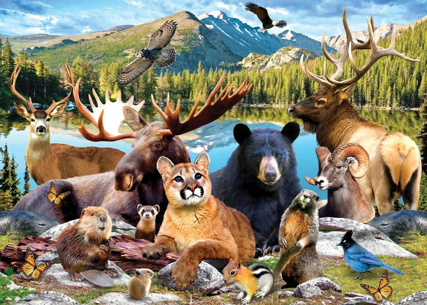 Adults$ Family$ Or Youth - Rocky Mountain National Park - 15"x21 MasterPieces align tulip dentist disadvantage rejection 500 Pieces Jigsaw Puzzle for 