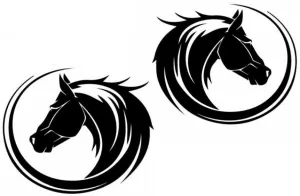 Elegant Horse Head Decal Set – Perfect for Utes, 4WDs, Horse Floats, and Trucks