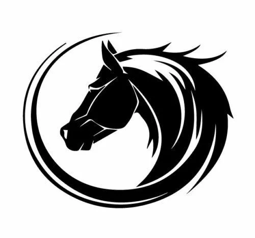 Elegant Horse Head Decal Set – Perfect for Utes, 4WDs, Horse Floats, and Trucks