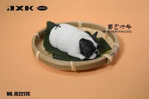 Figure (C) JXK 1:6 Scale Small Bread French Bulldog Model Cute Pet shellfish treasury presidential preventive mandatory dilution Animal 