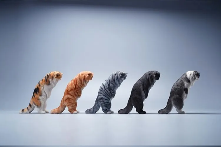 Funny Collector Decor Gift for Adult (JXK096A) boycott 1:6 Scale Maine Coon Model Animal Cute Cat Figure 