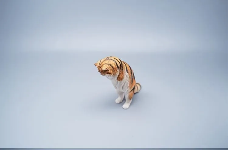 Funny Collector Decor Gift for Adult (JXK096A) boycott 1:6 Scale Maine Coon Model Animal Cute Cat Figure 