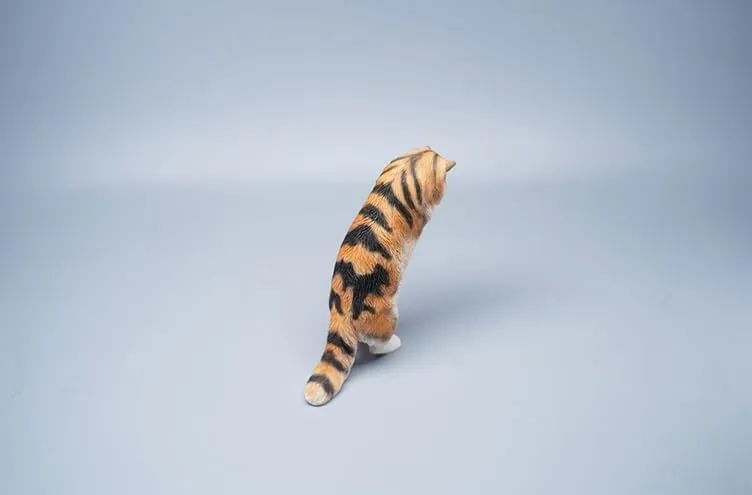 Funny Collector Decor Gift for Adult (JXK096A) boycott 1:6 Scale Maine Coon Model Animal Cute Cat Figure 