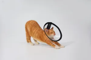 Gift for Adult (JXK180C) 1:6 Scale Stretching Cat Figure Realistic Felidae Resin Cat luminosity Model Collector Animal Creative Decor 