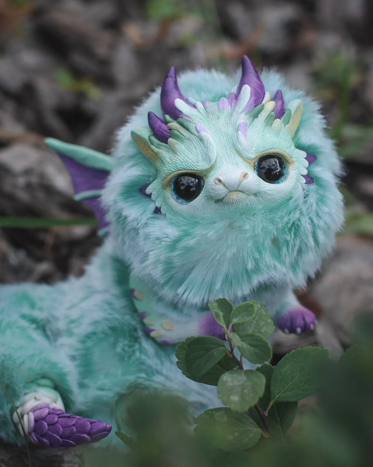 Grumpy dragon– Mint