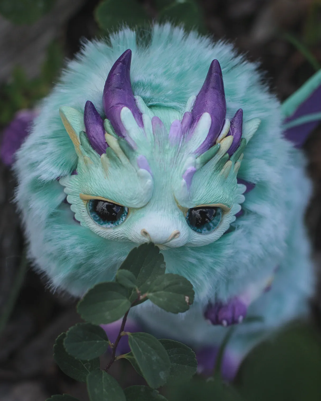 Grumpy dragon– Mint