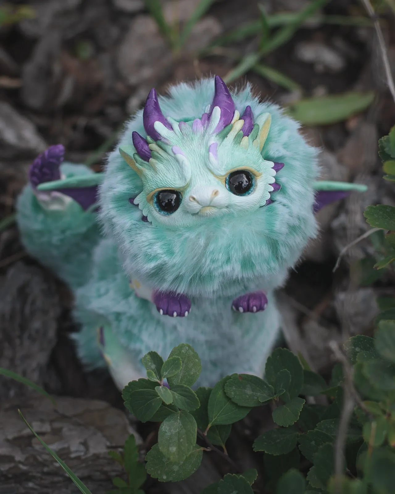 Grumpy dragon– Mint