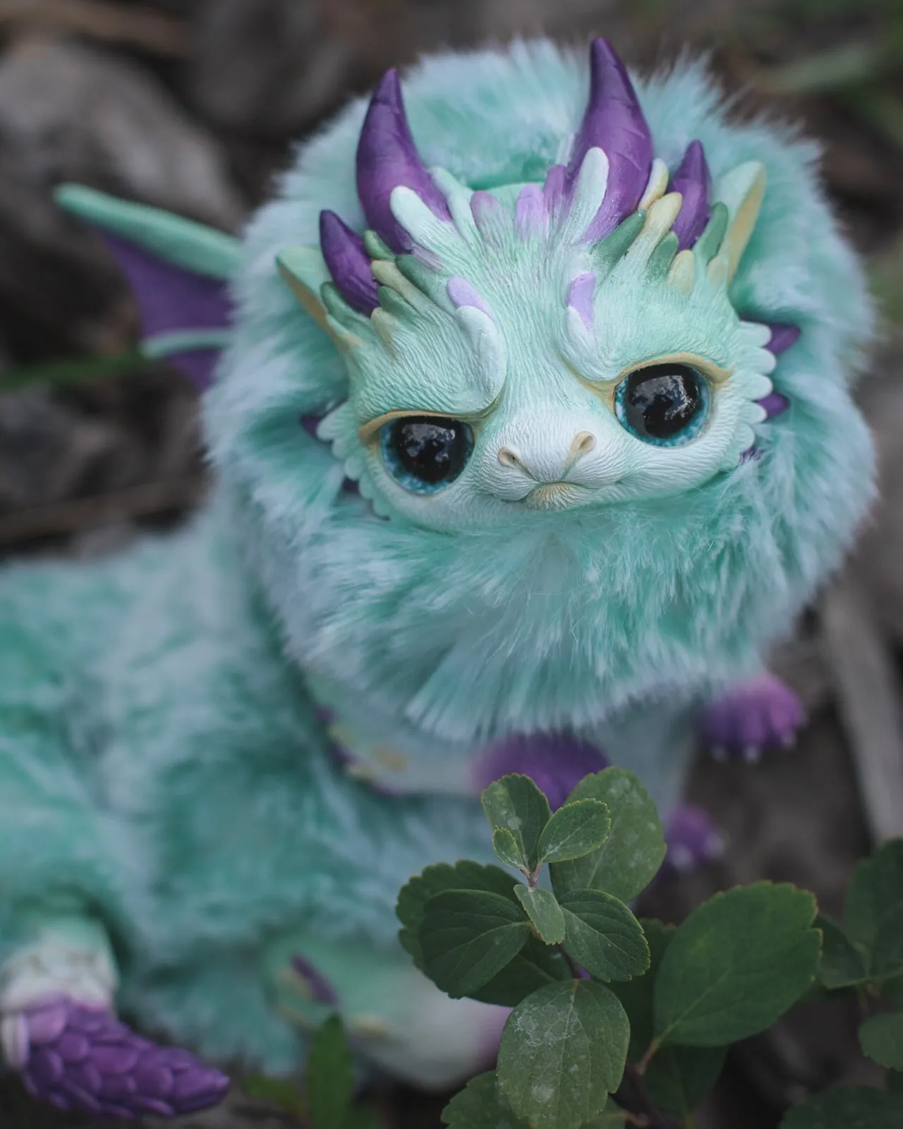 Grumpy dragon– Mint