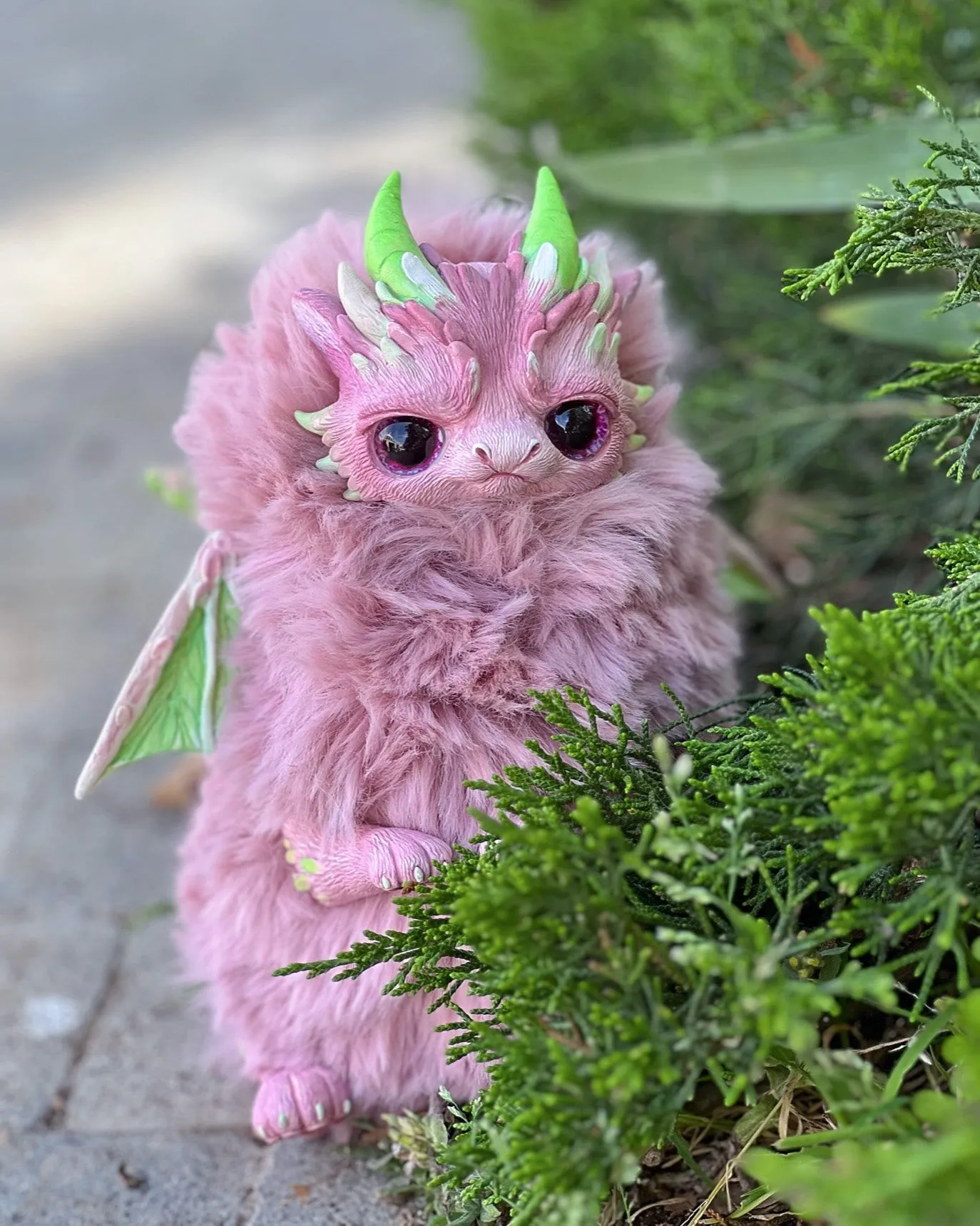 Grumpy dragon– Pink