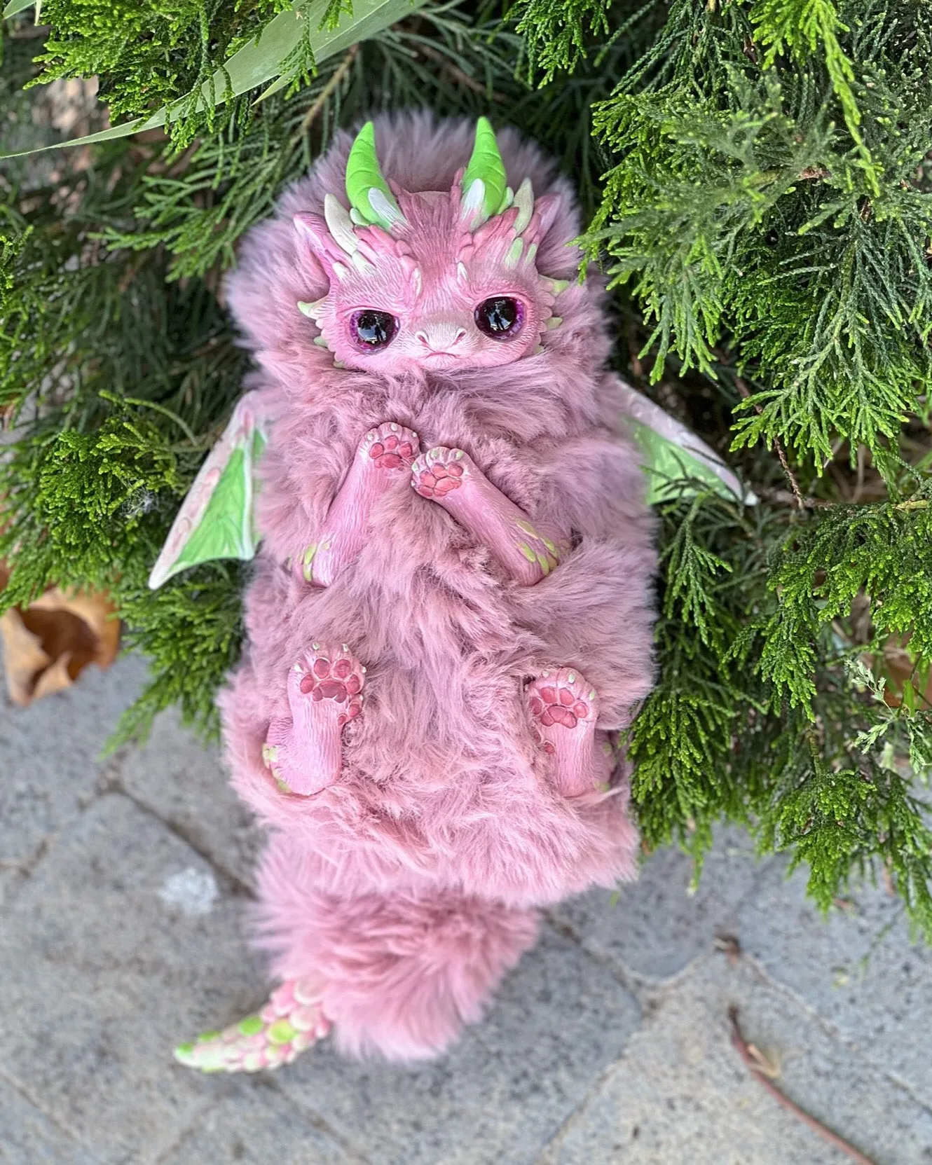 Grumpy dragon– Pink