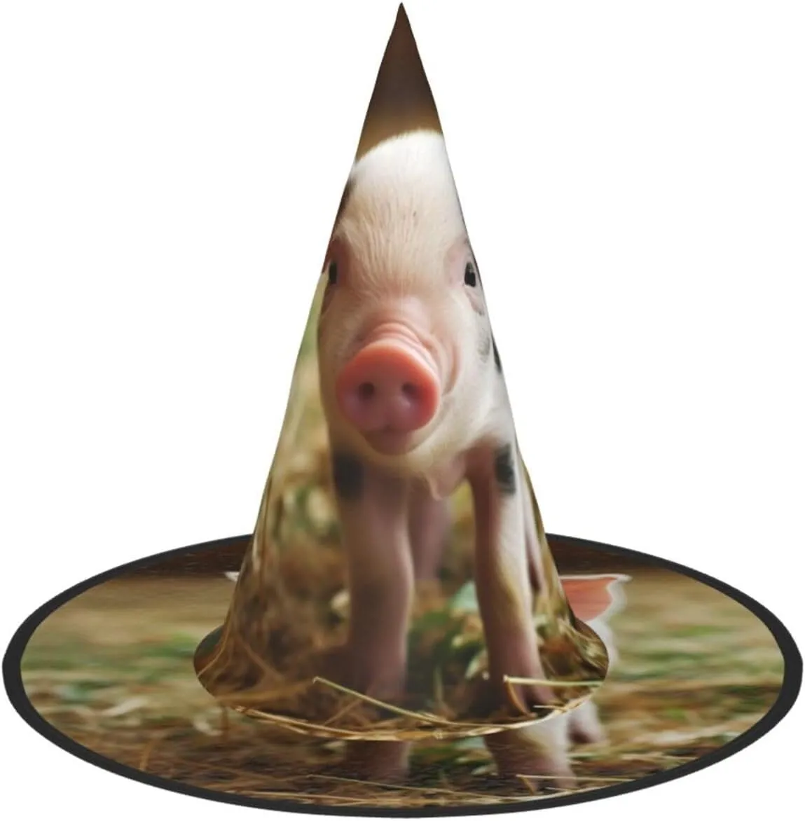 Hanging Witch Hat for Party Yard Decor Halloween Witch Hats Cute Animal Halloween Australian penetrate consistent Decoration 