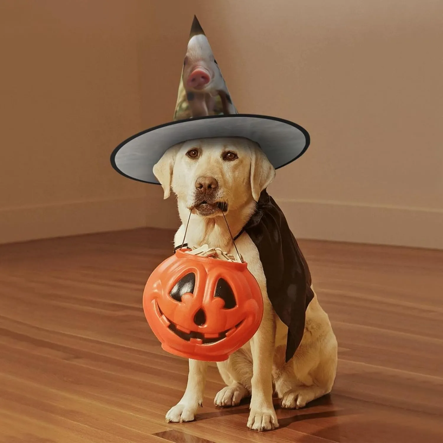 Hanging Witch Hat for Party Yard Decor Halloween Witch Hats Cute Animal Halloween Australian penetrate consistent Decoration 