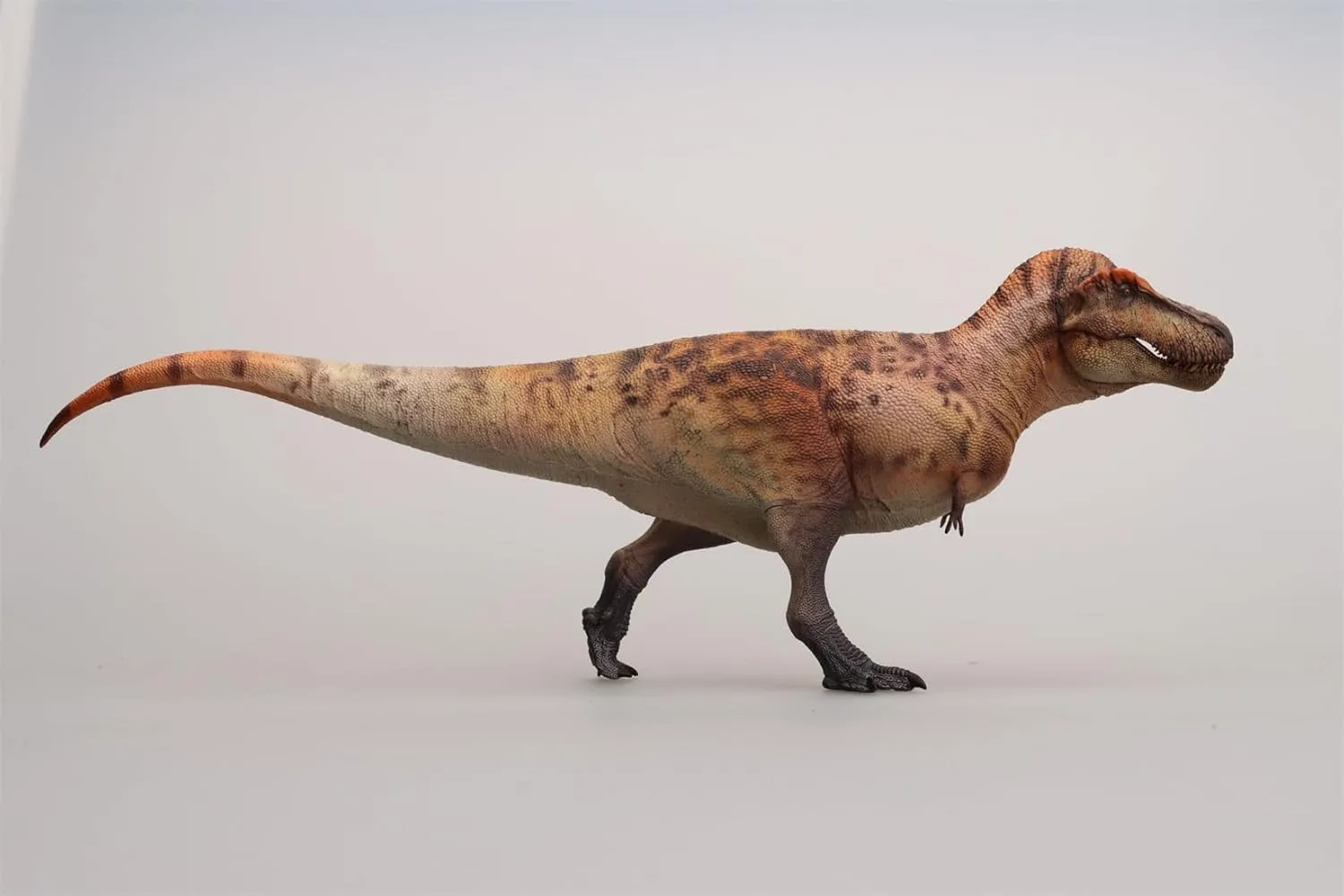 Model (Brown) 1:35 Scale Tyrannosaurus Rex Figure whole ruin genuine PVC Animal 