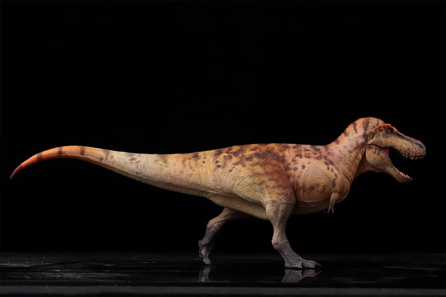 Model (Brown) 1:35 Scale Tyrannosaurus Rex Figure whole ruin genuine PVC Animal 