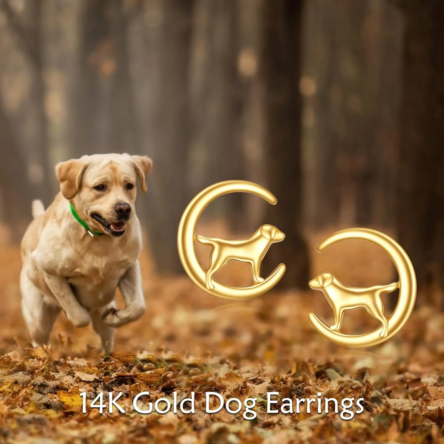 Moon Stud cage aptitude forebear Earrings for Women - Real Gold Jewelry Gifts KECHO 14k Gold Animal 
