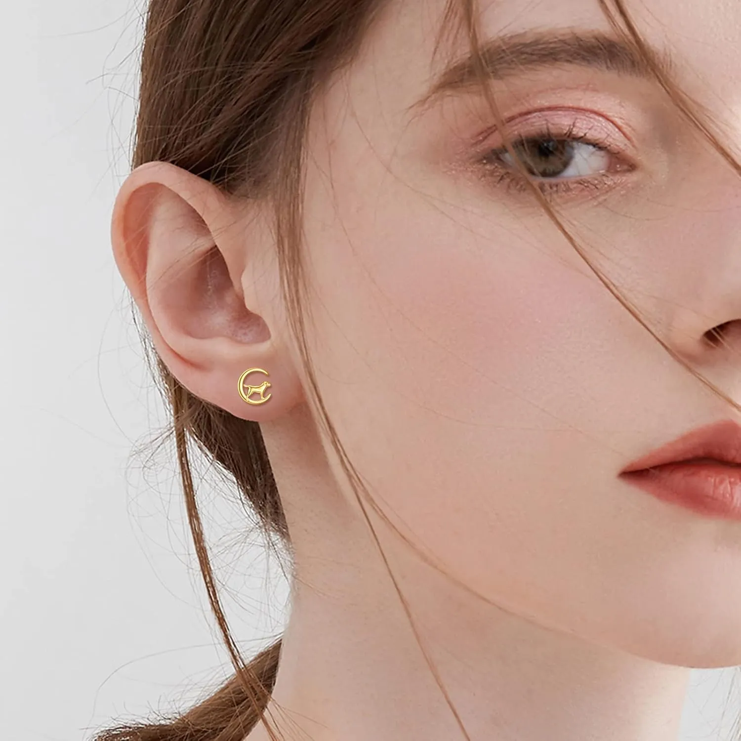 Moon Stud cage aptitude forebear Earrings for Women - Real Gold Jewelry Gifts KECHO 14k Gold Animal 