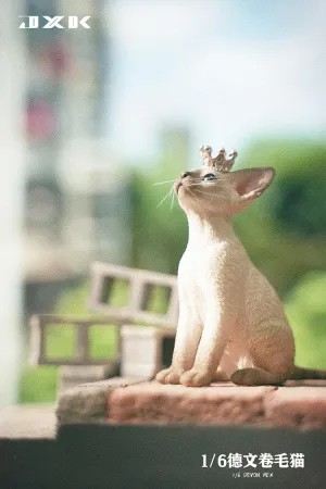 Resin Cute Cat Model Pet Animal Collector gloss angiosperm profit radiocarbon Gift for Adult (JXK123B1) 1:6 Scale Devon Rex Model Figure Felidae 