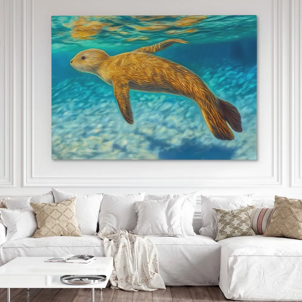 Shallow Seal Swimming