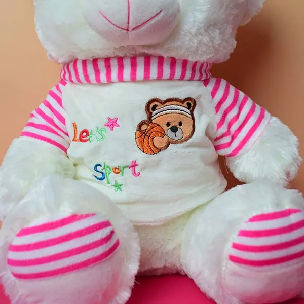 Soft And Huggable White Teddy Bear With Pink Velvet Jersi 18cm - Giant Teddy Bear.