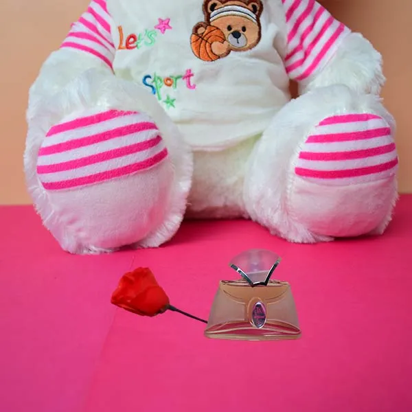 Soft And Huggable White Teddy Bear With Pink Velvet Jersi 18cm - Giant Teddy Bear.