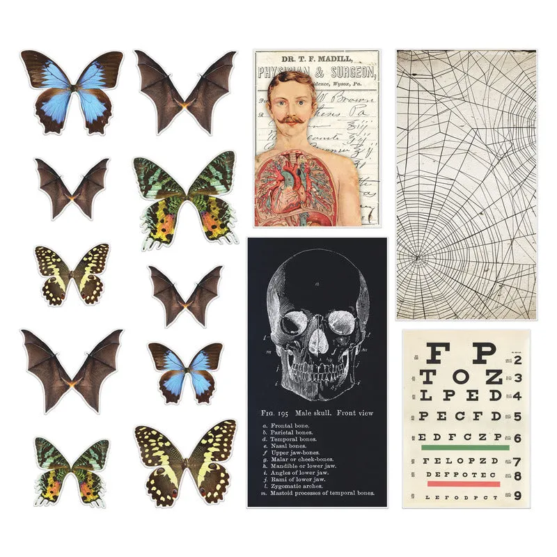 Tim Holtz - Idea-Ology - Transparencies - Halloween