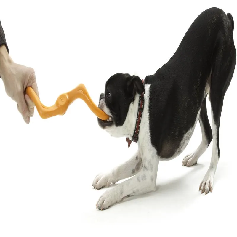 West Paw Zogoflex Orange Plastic Tizzi Tug Dog Tug Toy Small 1 pk